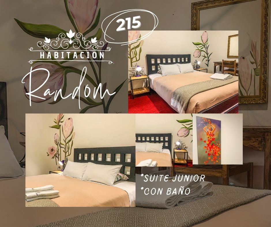 Suite Junior